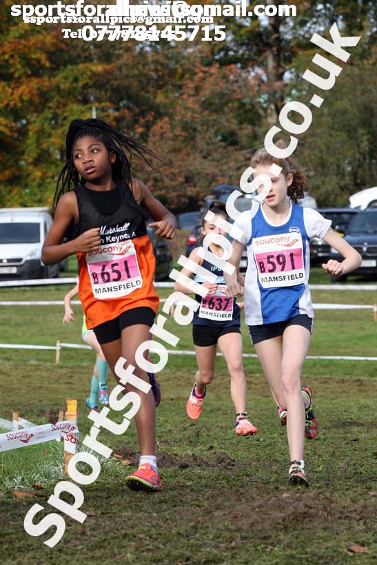 Girls under-13s National Cross Country Relay, Berry Hill Park, Mansfield. Photo:  David T. Hewitson/Sports for All Pics
